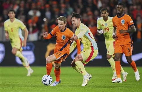 Navigating the Betting Field: Strategies and Insights